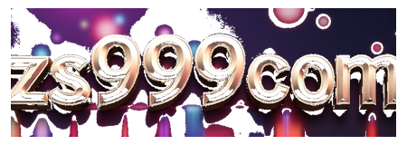 zs999com logo